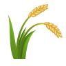icons8-sheaf-of-rice-96